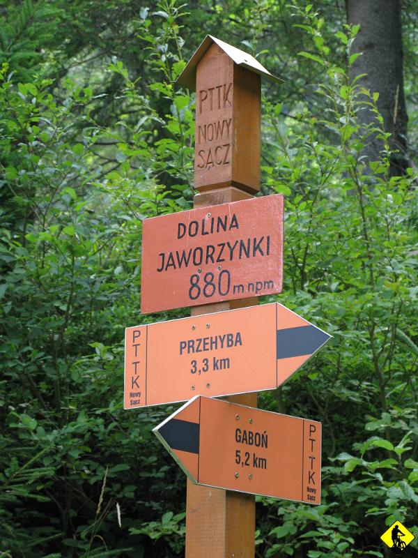 foto 015.jpg - Ze Starego S. uderzamy na Przechybę. Podobno legendarny podjazd, gdzie są nawet rozgrywane jakieś zawody uphill’owe.